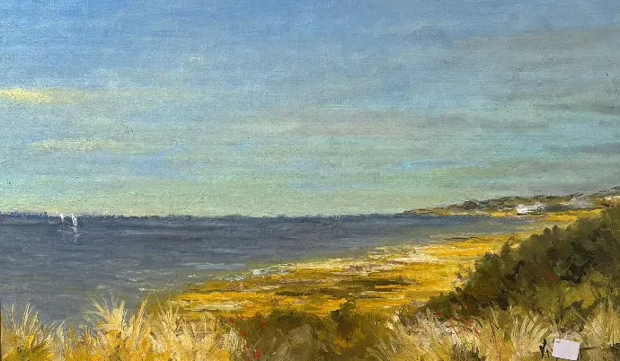 Marée basse - Oleron